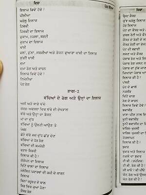 Ayurvedic Ramban Nuskhay full book desi tips to cure various diseases Punjabi A2