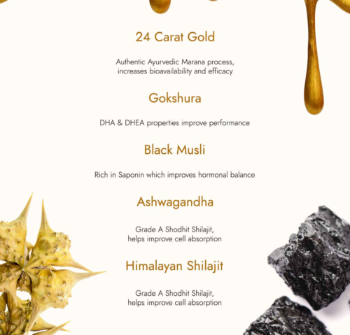 Kapiva Himalayan SHILAJIT GOLD Ashwagandha Resin 20g Ayurvedic Stamina Booster