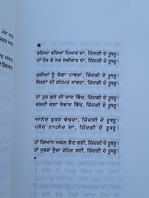 Deeva Diva Poetry book by Rana Ranbir Punjabi Literature New Panjabi Poems B31