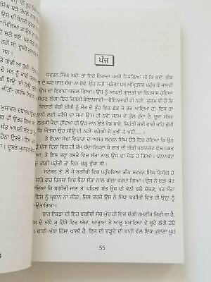 Aastak nastak novel by nanak singh indian punjabi reading literature book b29