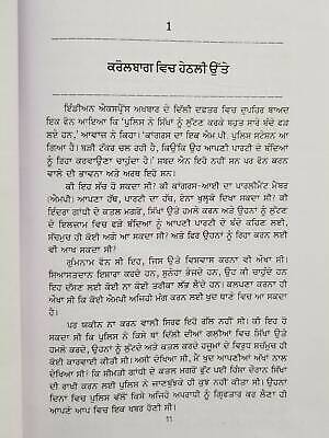 1984 sikh virodhi dangay sikh genocide riots sanjay suri punjabi gurmukhi book