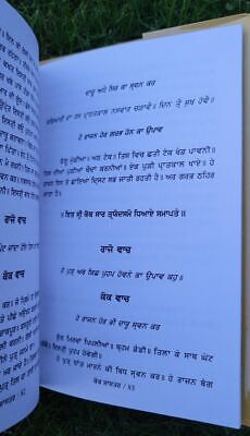 Kok Shashtar Kamasutra Rare Indian Sex Knowledge Lust Granth Punjabi Book MC New