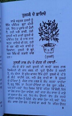 Himalaya booti parkash ayurvedic punjabi book hikmat home remdies panjabi ma new