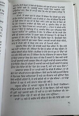 Diary de Panne Diary Operation Blue Star Attack Darbar Sahib Punjabi Sikh Book