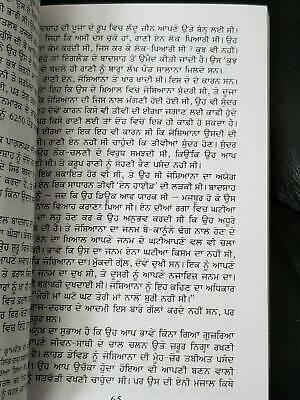 Patjhar de panchhi novel nanak singh indian punjabi reading literature book b10