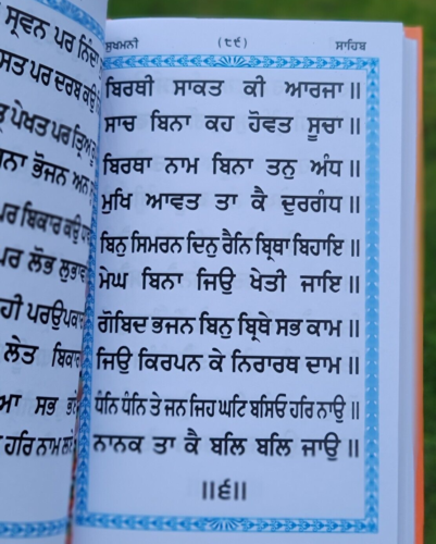 Sikh Bold Punjabi Japji Chaupai Sukhmani Ardas Gutka Shaheed Chaupehra Sahib MQ