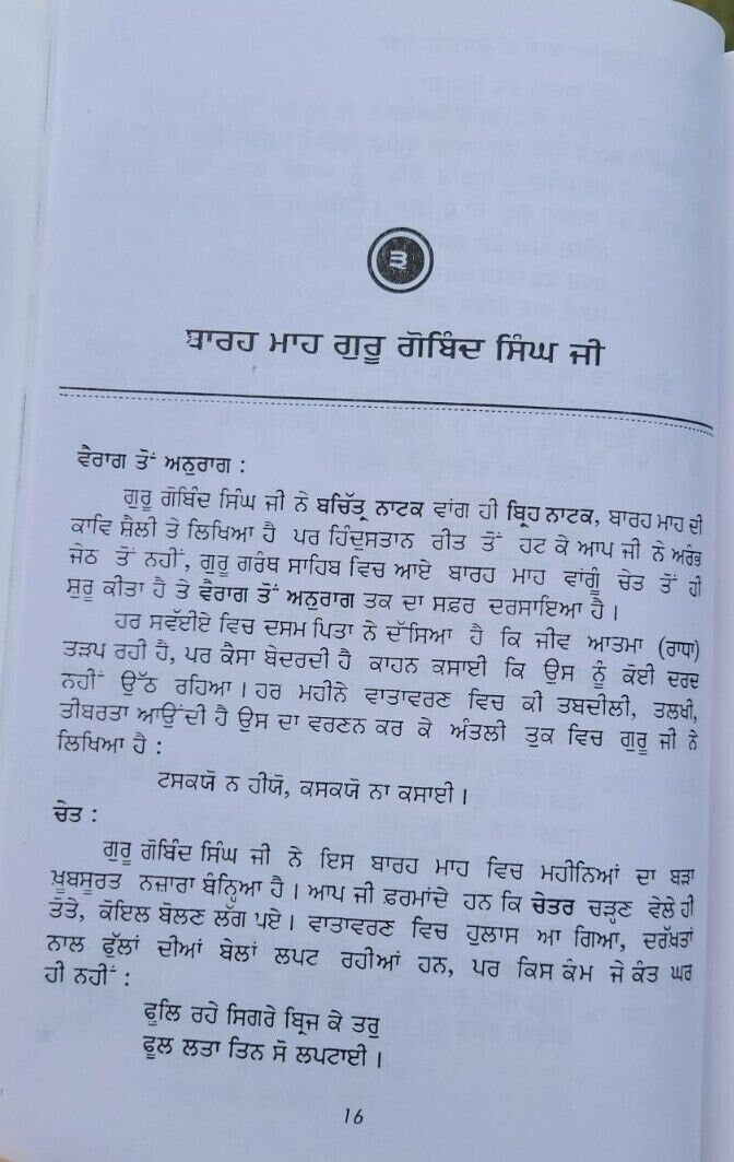 Bara maha tinney principal satbir singh punjabi literature panjabi book b57 new