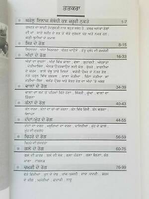 Home remedies desi gharogi nuskhay punjabi book to cure diseases at home new b18