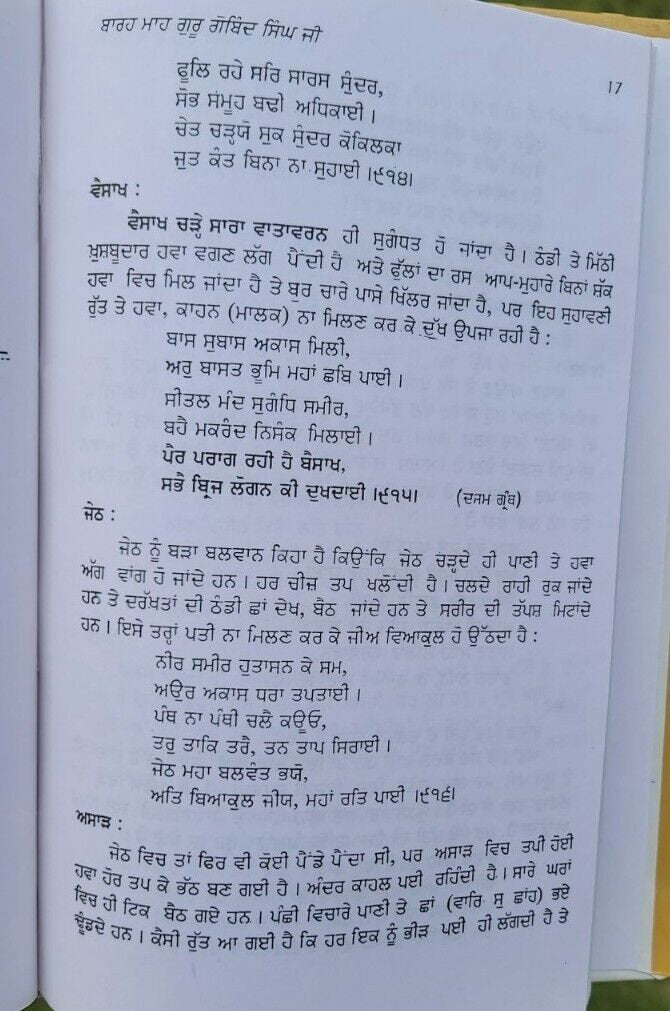 Bara maha tinney principal satbir singh punjabi literature panjabi book b57 new