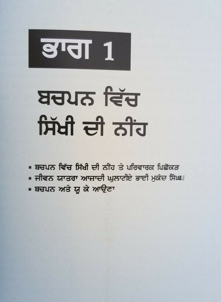 Chalda vaheer jatha a spiritual journey - jatinder kaur sikh punjabi book new mc