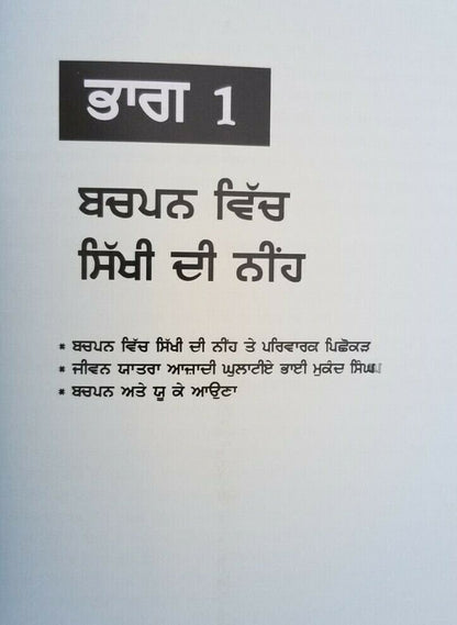 Chalda vaheer jatha a spiritual journey - jatinder kaur sikh punjabi book new mc