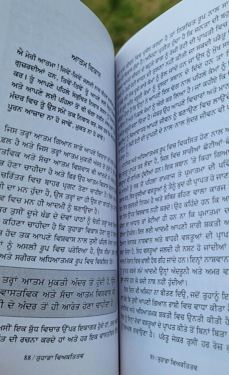 Tuhada viyaktitav swett marden inspirational self improvement book punjabi b55