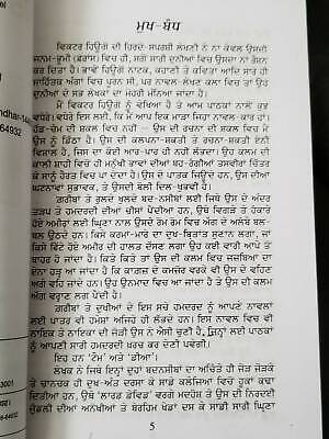 Patjhar de panchhi novel nanak singh indian punjabi reading literature book b10
