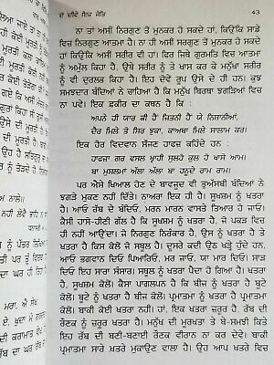 Gur Bhari Biography of Guru Hargobind Ji by Satbir Singh Punjabi Sikh Book B59