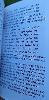 Gargaj Akali Gajya Sikh Book Dr Inderjit Singh Punjabi Story Literature Book B20