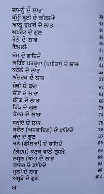 Himalaya booti parkash ayurvedic punjabi book hikmat home remdies panjabi ma new