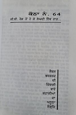 Kotha Number 64 Book on Life of Sex Workers G B Road Night Punjabi New Book STOR