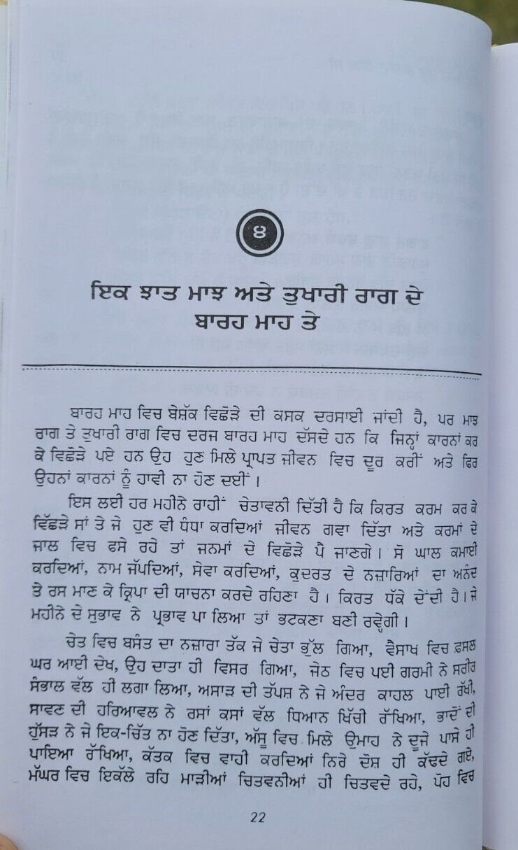 Bara maha tinney principal satbir singh punjabi literature panjabi book b57 new