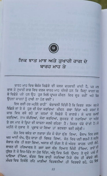 Bara maha tinney principal satbir singh punjabi literature panjabi book b57 new